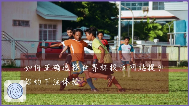 如何正确选择世界杯投注网站提升你的下注体验