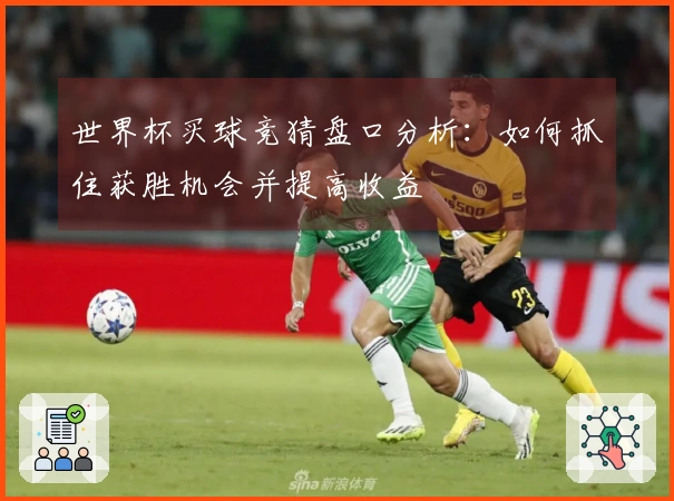 世界杯买球竞猜盘口分析：如何抓住获胜机会并提高收益