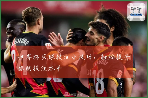 世界杯买球投注小技巧，轻松提升你的投注水平