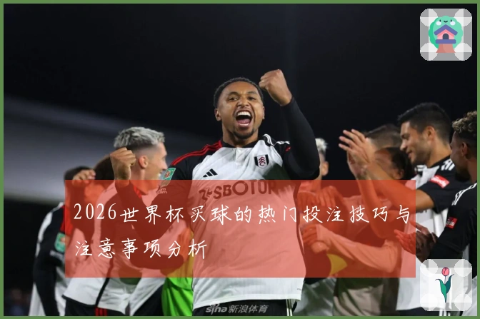 2026世界杯买球的热门投注技巧与注意事项分析