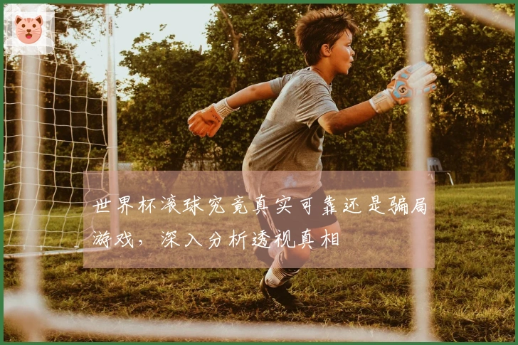 世界杯滚球究竟真实可靠还是骗局游戏，深入分析透视真相