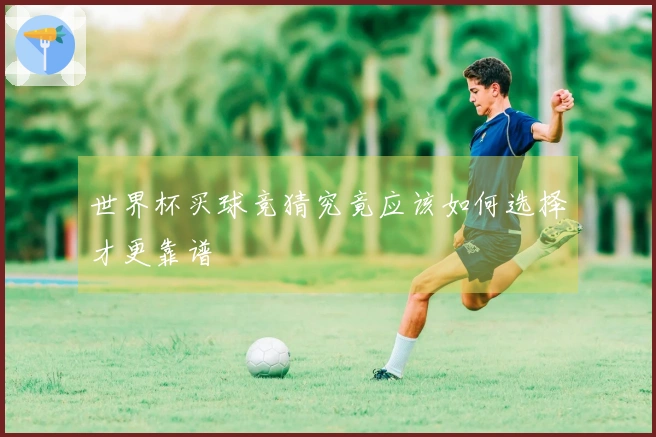 世界杯买球竞猜究竟应该如何选择才更靠谱