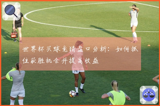 世界杯买球竞猜盘口分析：如何抓住获胜机会并提高收益