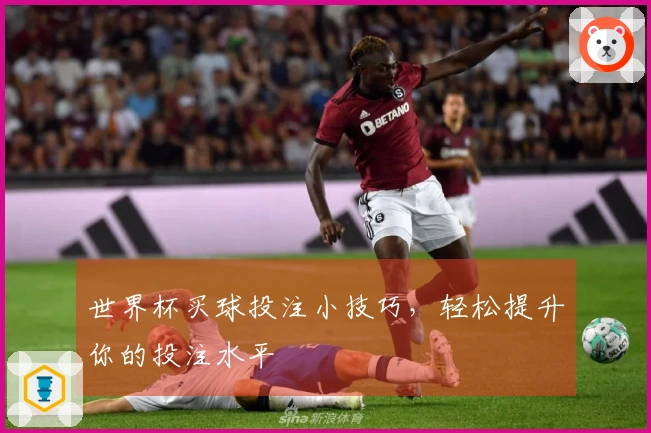 世界杯买球投注小技巧，轻松提升你的投注水平