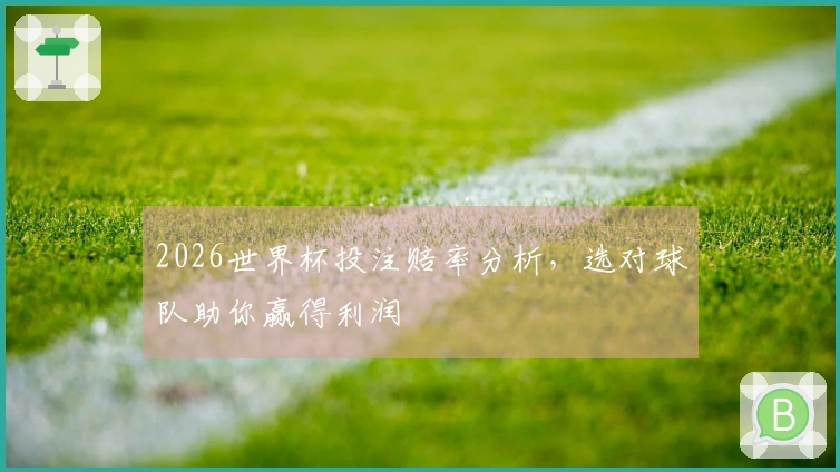 2026世界杯投注赔率分析，选对球队助你赢得利润