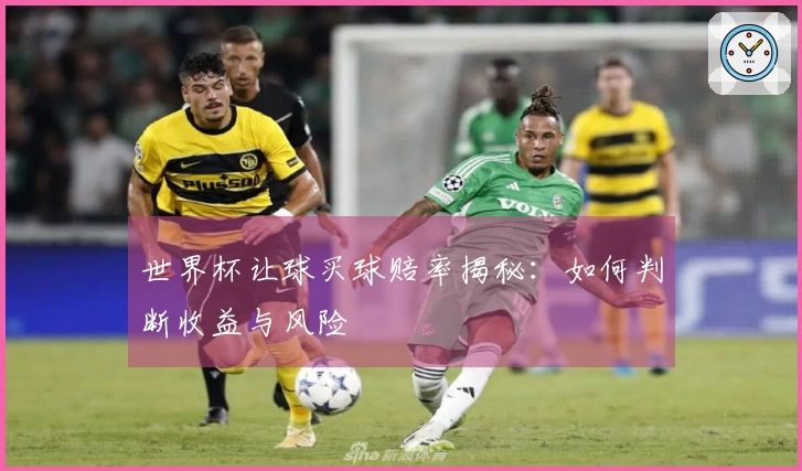 世界杯让球买球赔率揭秘：如何判断收益与风险