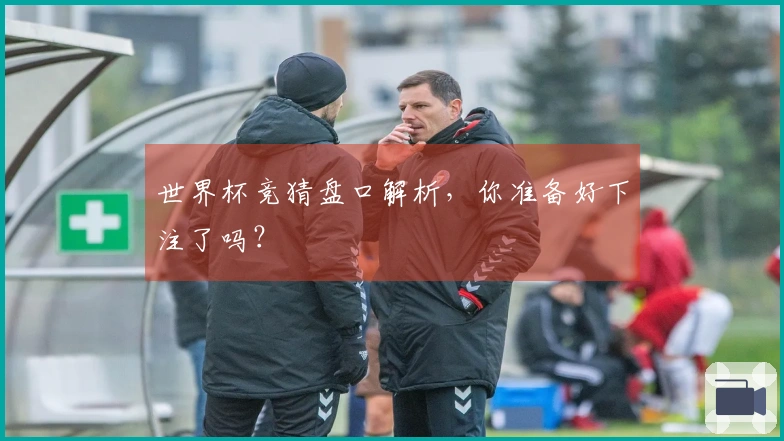 世界杯竞猜盘口解析，你准备好下注了吗？