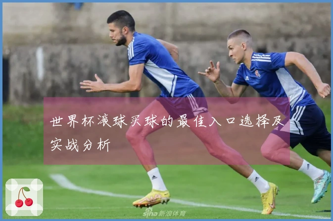 世界杯滚球买球的最佳入口选择及实战分析