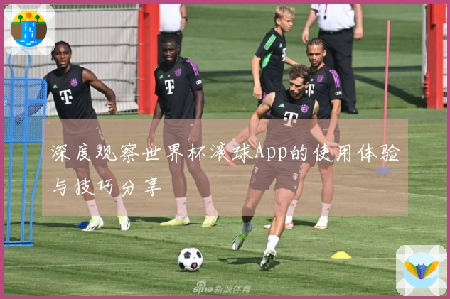 深度观察世界杯滚球App的使用体验与技巧分享