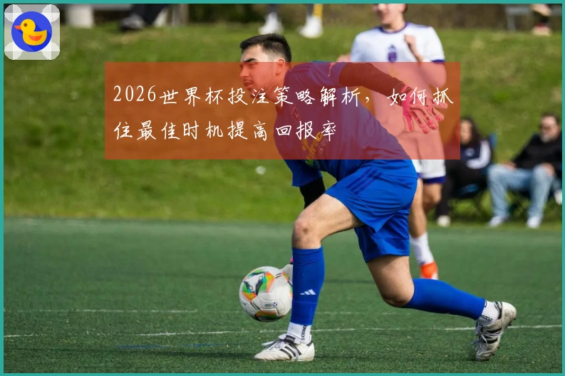 2026世界杯投注策略解析，如何抓住最佳时机提高回报率