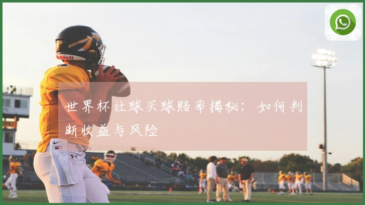 世界杯让球买球赔率揭秘：如何判断收益与风险